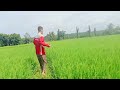 THE RICE FIELDS AND THE CLOUDS | Pag abuno ng palay sa probinsya | Farmers Life