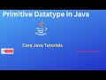 Primitive Datatypes in Java