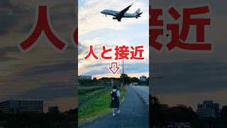 福岡空港JAL飛行機着陸。福岡市福岡空港　福岡空港飛行機　JAL飛行機福岡空港着陸　JALあるある　JALパイロット　JAL客室乗務員　日本航空CA 日本航空飛行機　福岡空港地下鉄駅 #shorts