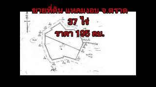 #ขายที่ดินแหลมงอบ จ.ตราด เนื้อที่ 37 ไร่ ล้อมรอบด้วยทะเล 3 ด้าน  ราคา 195 ลบ.