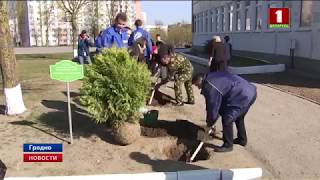 В Гродненской области на республиканский субботник вышли более 300. 000 человек