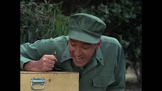 Gomer Pyle, U.S.M.C.: Season 2, Episode 5:   Gomer Untrains a Dog