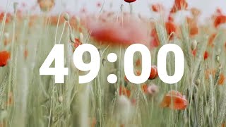 49 Minute Timer with Soothing Music | Stress Relief Countdown Clock