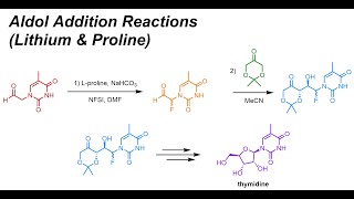 Aldol Addition Reactions with Lithium \u0026 Proline (IOC 21)