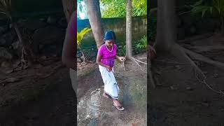 ഈശ്വരാ..... ഇത് എന്താ തടാകമോ #shortvideo #comedy