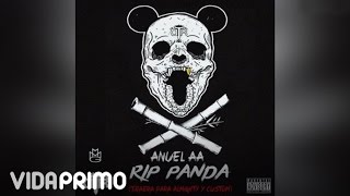 Anuel AA - RIP Panda [ Audio]