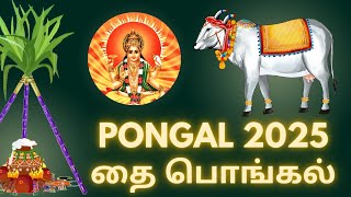 பொங்கல் 2025 | போகி, தை பொங்கல், மாட்டு பொங்கல் | சூரிய பகவான் வழிபாடு முறை | PONGAL SPECIAL 2025