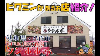 【ビワミン】熊本県・八代市　OFUKURO酒場タンポポ【買えるお店】