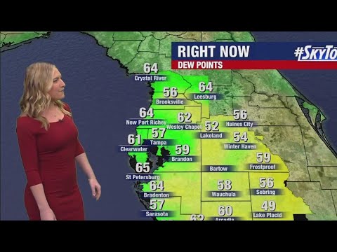 Sunday Night Forecast Youtube