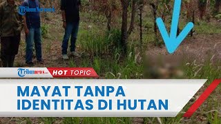 Kondisi Mayat yang Hangus Terbakar \u0026 Tinggal Kerangka, Dompet Ditemukan tapi Kartu Identitas Tak Ada