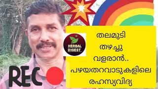 തലമുടി.. തഴച്ചു വളരാൻ.. പഴയ തറവാഡുകളിൽ ഉപയോഗിച്ചിരുന്ന സമ്പ്രദായം :