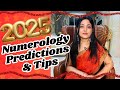 2025 Numerology Predictions, Things To Remember & Tips | Kaisa Hoga New Year 2025? | Priyanka Kuumar