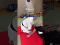 ハイキックを寸止めするつもりが… 空道 karate 大道塾 ngシーン ブック破り