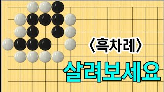 유단자사활 #44 (3단이상)