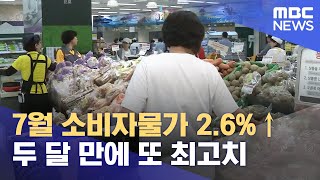 7월 소비자물가 2.6% ↑…두 달 만에 또 최고치 (2021.08.03/12MBC뉴스)