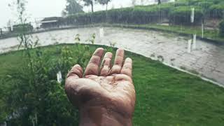 Rainy Days ❤️ പ്രകൃതിയുടെ പ്രണയമാണ് മഴ 💚 #shorts