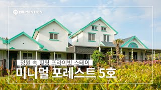 제주도 숙소 추천/ 제주 안덕면 정원 속 힐링 프라이빗 스테이, 미니멀 포레스트 5호 // 제주도 한달살기 독채 숙소 추천