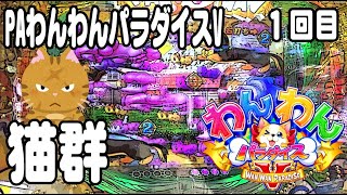 PAわんわんパラダイスV パチンコ実践動画 No.01【みかん王国】