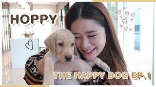 LIFESTYLE || สมาชิกใหม่ในบ้าน น้องหมา HOPPY the happy dog [EP1] || NinaBeautyWorld