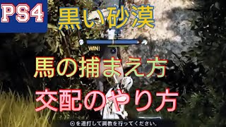 【PS4 黒い砂漠】馬の捕獲と交配のやり方