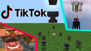 TIK TOK + MINECRAFT MEMES COMPILATION [#1]