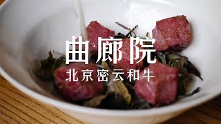 曲廊院 探个店吃到了北京密云和牛!#抖音心动餐厅