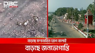 সিলেটে বেড়েছে এডিস মশার প্রজননক্ষেত্র | DBC NEWS