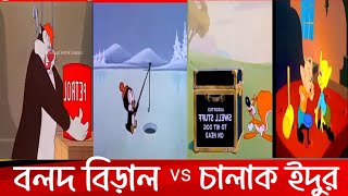 বলদ বিড়াল vs চালাক ইদুর। bangla funny video। sm comedy group 24