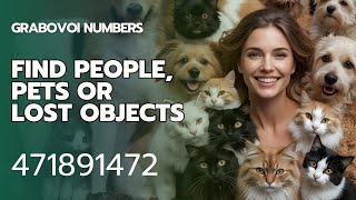 How to find People, Pets or Lost Objects with Grabovoi Numbers - 471891472