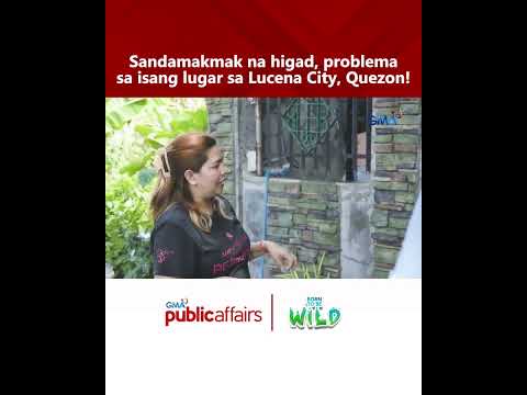 Sandamakmak na higad, problema sa isang lugar sa Lucena City, Quezon! | Born to Be Wild