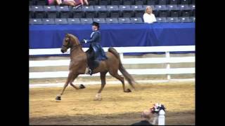 SOLD: Three Gaited - Simbara's Bountiful