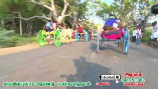 பூஞ் சிட்டு -வைரிவயல் -2018 வண்டிப்பந்தையம்