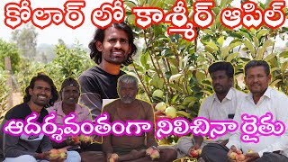 కోలార్ లో కాశ్మీర్ ఆపిల్ Farming Hosakote Near Apple farming Kashmiri Apple farming in Karnataka |