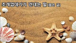 조개껍데기가 가르쳐 준 것(광고없음)