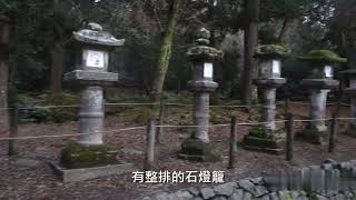 奈良 攻略 觀光  鹿 東大寺 春日大社 奈良景點 奈良公園 近鐵奈良站 一日遊