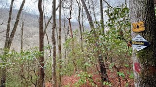 4003 Junaluska Rd, Topton, NC 28781- 5.72 Acres Unrestricted \u0026 Surrounded by USFS $56,900! - Part 1