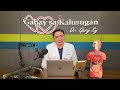 fatty liver high sgpt protect your liver with silymarin dr. gary sy