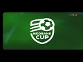 Themba Zwane goal | Mamelodi Sundowns vs Orlando Pirates | NEDBANK CUP Final