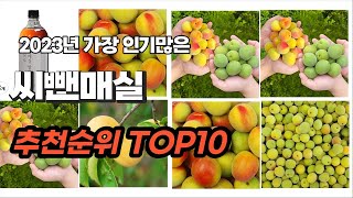 씨뺀매실 추천 2023년 7월 소개해드려요 추천순위 TOP10