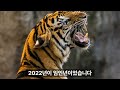 2023년은 왜 검은 토끼 해인가 검은 토끼 토끼띠