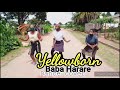 Baba Harare  - yellow born dance cover