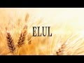 Elul and the 40 Days of Teshuvah: The King is in The Field #elul #teshuvah