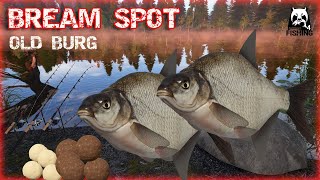 Russian Fishing 4 RF4 BREAM SPOT ON LAKE OLD BURG