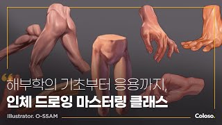 인체해부학 강사 오쌤 \