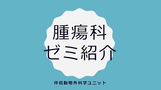 酪農学園大学　腫瘍科　研究室紹介　動画