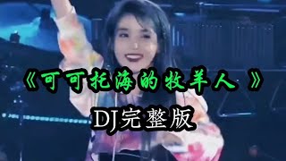 王琪一首劲爆Dj版舞曲《可可托海的牧羊人》劲爆优美，伤感入心【九哥音画】