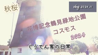 【散歩】花博記念鶴見緑地公園/秋桜/コスモス/４０代主婦/くうてん家の日常/猫との暮らし