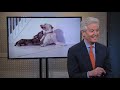 Zoetis CEO: Banking on Man’s Best Friend? | Mad Money | CNBC