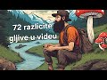 72 RAZLICITE GLJIVE U VIDEU! I jos hiljade neprikazanih iza nas.