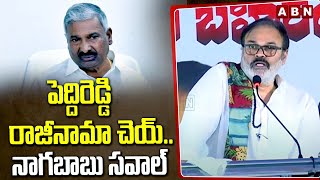 పెద్దిరెడ్డి రాజీనామా చెయ్.. నాగబాబు సవాల్ | Nagababu Challenge To Peddireddy | ABN